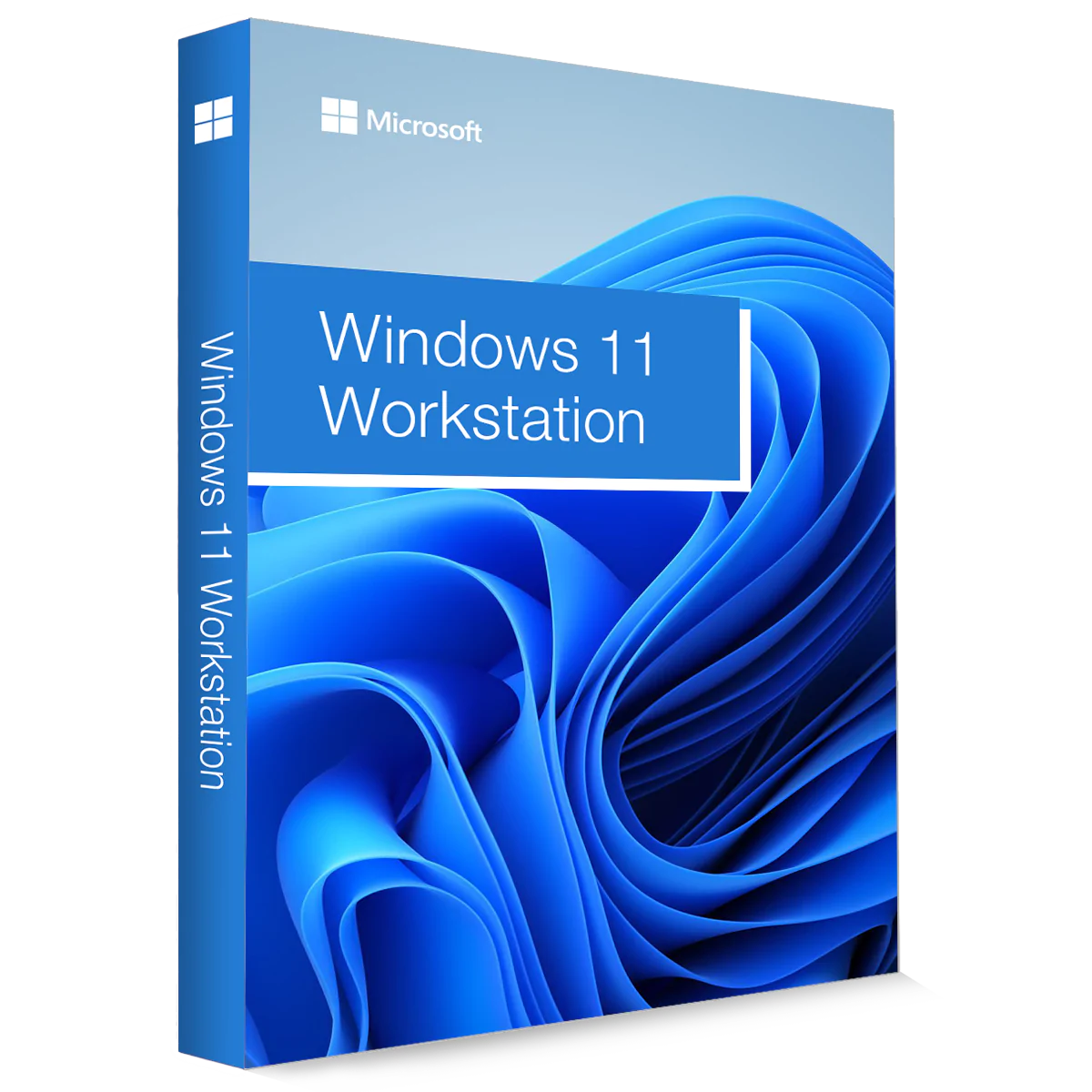 Microsoft Windows 11 Workstation